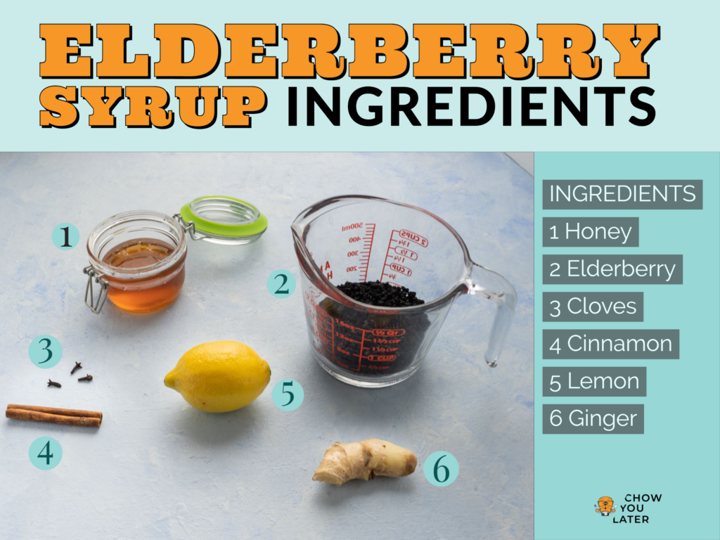 A list of elderberry syrup ingredients 